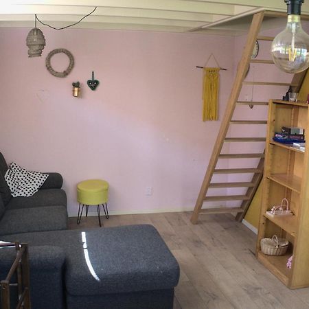 Small, cute&cozy little holiday home Hippolytushoef Zewnętrze zdjęcie